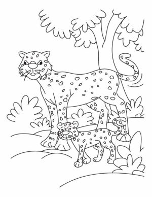 Cute Baby Cheetah Coloring Pages   3ab4m