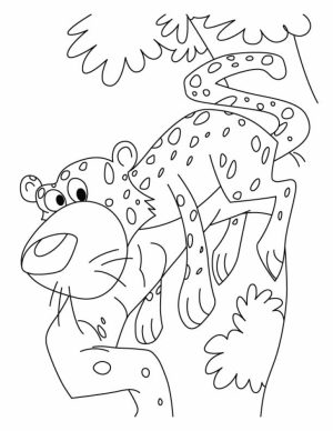Cute Baby Cheetah Coloring Pages   mt83n