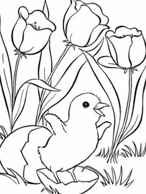 Cute Cartoon Animal Coloring Pages   a53vf9