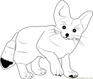 Cute Fox Coloring Pages   wa522