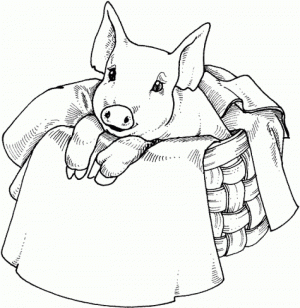 Cute Pig Coloring Pages   83nl1