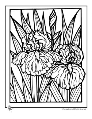 detailed flower coloring pages for adults printable – 7dg31