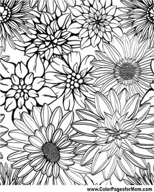 detailed flower coloring pages for adults printable – ycv42