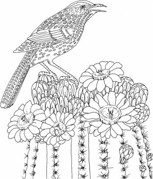Difficult Adult Coloring Pages to Print Out   78251