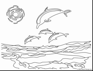 Dolphin Coloring Pages   Animal Printables for Kids   75821