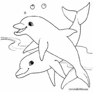 Dolphin Coloring Pages for Kids   13279