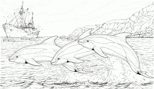 Dolphin Coloring Pages Free to Print   93614
