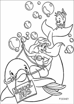 Dolphin Coloring Pages to Print Out   56173