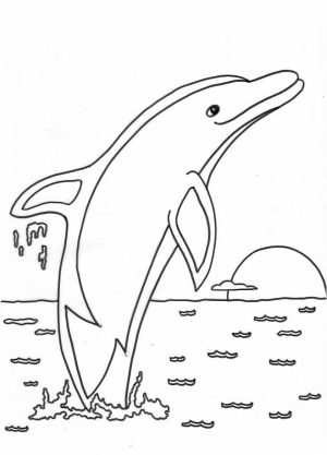 Dolphin Coloring Pages to Print Out   81630