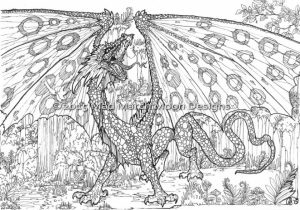 Dragon Coloring Pages for Adults Free Printable   lp5c7