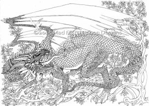Dragon Coloring Pages for Adults Free Printable   ta2n4