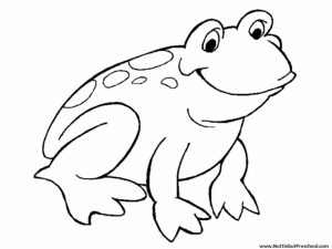 Easy Frog Coloring Pages for Preschoolers   8PS18