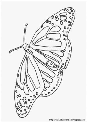 Easy Nature Coloring Pages for Preschoolers   9iz28