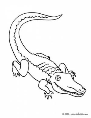 Easy Preschool Printable of Alligator Coloring Pages   qov5f