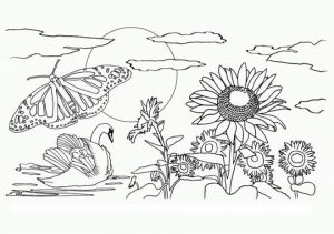 Easy Preschool Printable of Nature Coloring Pages   qov5f