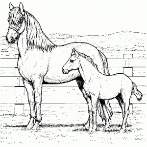 Easy Printable Horses Coloring Pages for Children   PTyqX