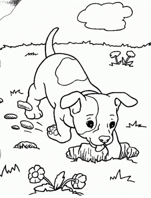 Easy Puppy Coloring Pages for Preschoolers   8PS18