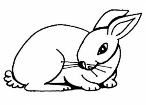 Easy Rabbit Coloring Pages for Preschoolers   8PS18