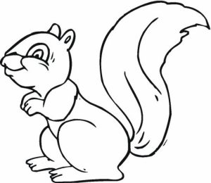 Easy Squirrel Coloring Pages for Preschoolers   9iz28