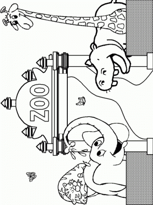 Easy Zoo Coloring Pages for Preschoolers   79149