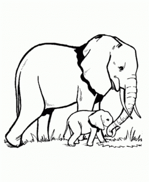 Elephant Coloring Pages for Preschoolers   698042