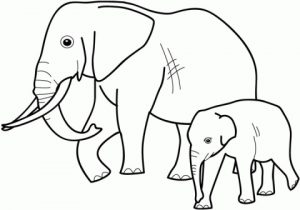 Elephant Coloring Pages for Preschoolers   974256