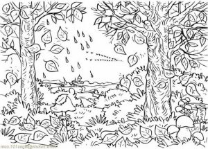 Fall Coloring Pages for Adults   mm89b7
