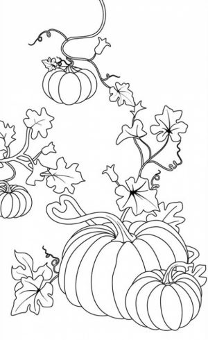 Fall Coloring Pages for Grown Ups Free Printable   32vb8