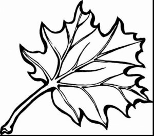 fall leaves coloring pages for kindergarten   i681a