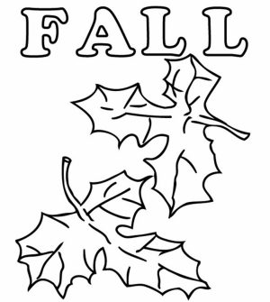 fall leaves coloring pages printable   u509m