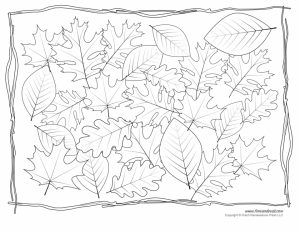 fall leaves coloring pages printable   ufg41