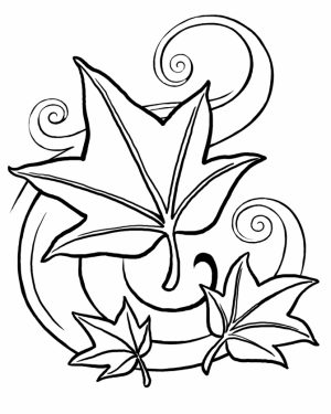 fall leaves coloring pages printable   yah48