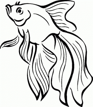 Fish Coloring Pages Free Printable   595990