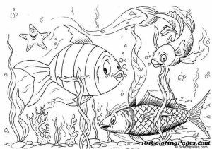 Fish Coloring Pages Free Printable   606710