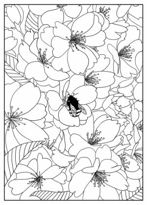 Flowers Coloring Pages for Adults Printable   74721