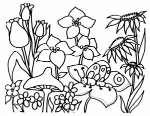 Flowers Coloring Pages for Kids   0560