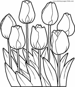 Flowers Coloring Pages for Kids   3188