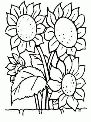 Flowers Coloring Pages for Kids   9691