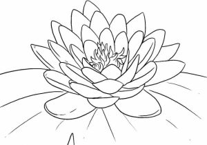 Flowers Coloring Pages Free to Print   2165