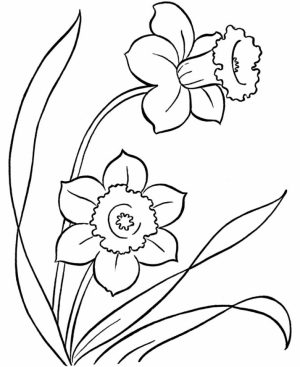 Flowers Coloring Pages Free to Print   3178