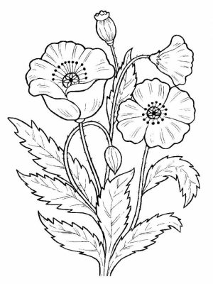 Flowers Coloring Pages Kids Printable   2167