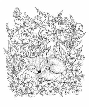 Fox Coloring Pages for Adults   2ml85