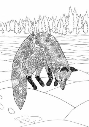 Fox Coloring Pages for Adults Printable   9ch4n