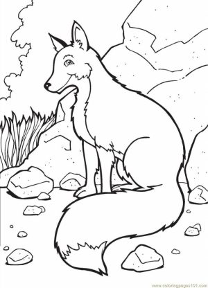 Fox Coloring Pages for Kids   t4b61
