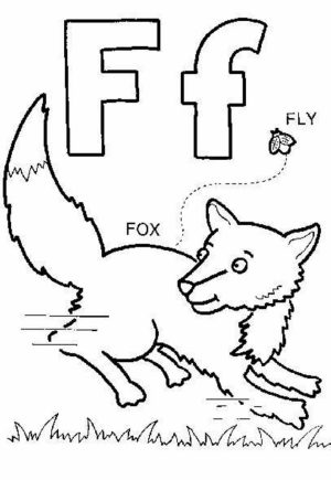 Fox Coloring Pages for Kids   ucnr1