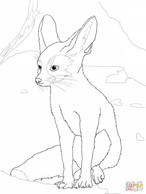Fox Coloring Pages for Toddlers   2ay4m