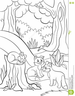 Fox Coloring Pages for Toddlers   61185
