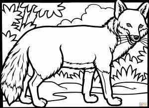 Fox Coloring Pages Free   8cn4m