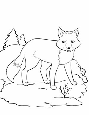 Fox Coloring Pages Printable   72nal