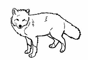 Fox Coloring Pages to Print   7wnc7